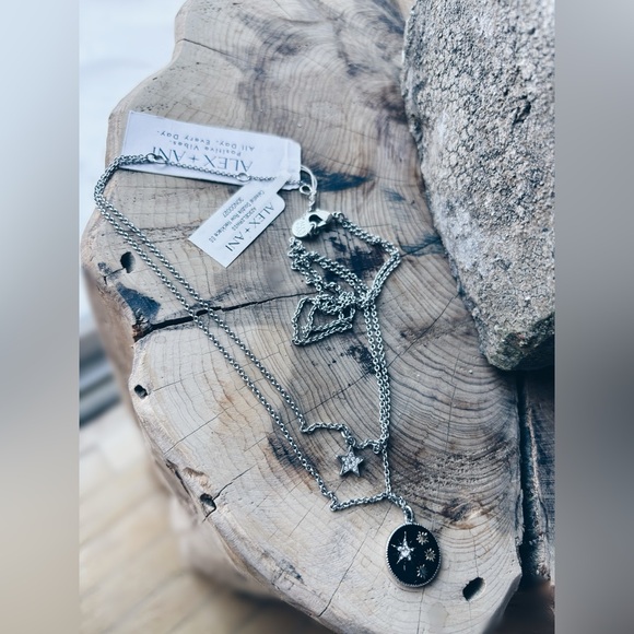 Alex and Ani Celestial Double Row Necklace NWT Silver Black Enamel M - Picture 8 of 9